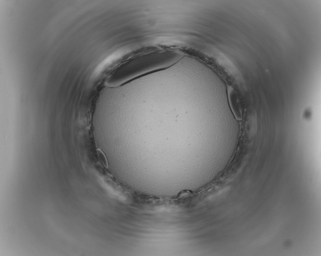 X0000089860920200707262125