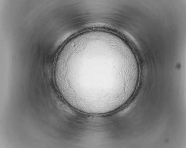 X0000089860921200707262125