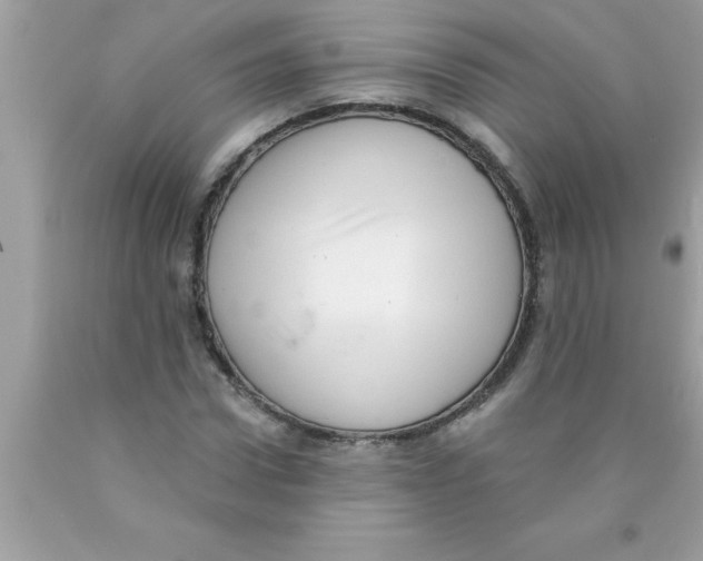X0000089860922200707262125
