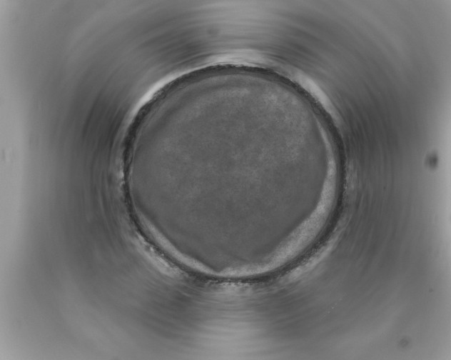 X0000089860923200707262125