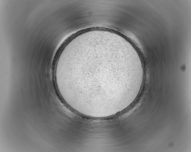 X0000089860924200707262125