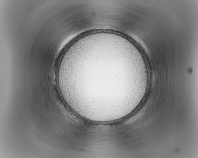 X0000089860925200707262125