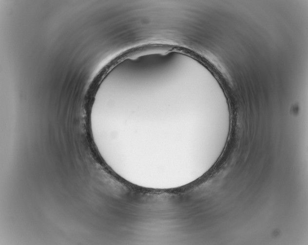 X0000089860926200707262125