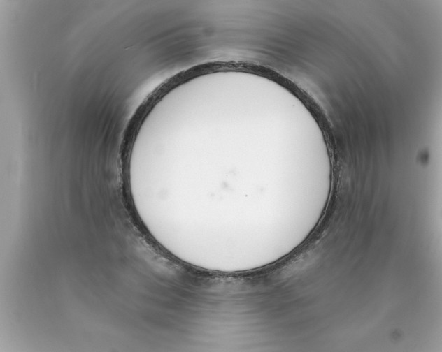 X0000089860927200707262125