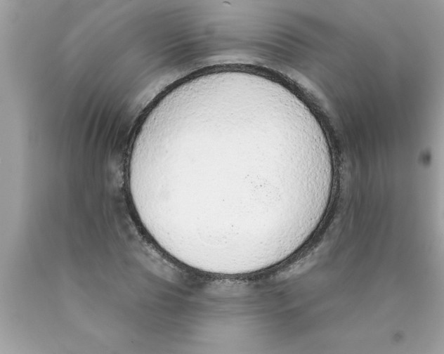 X0000089860929200707262125