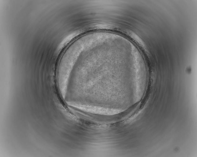 X0000089860930200707262125