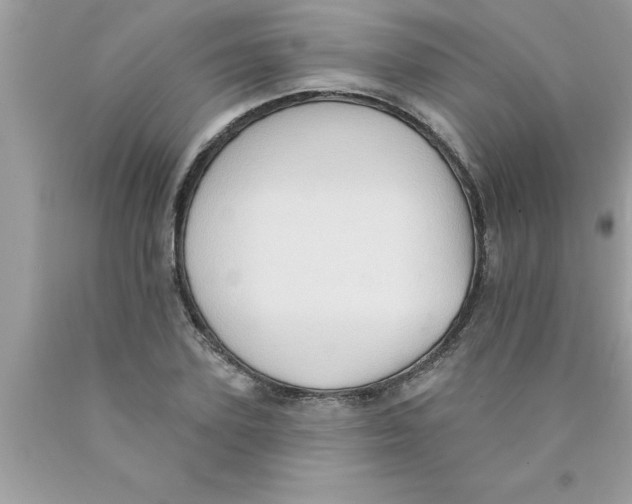 X0000089860931200707262125