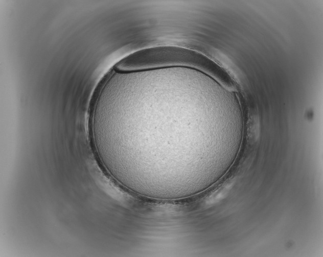 X0000089860932200707262125