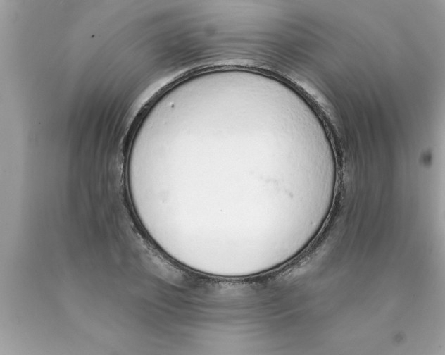 X0000089860933200707262125