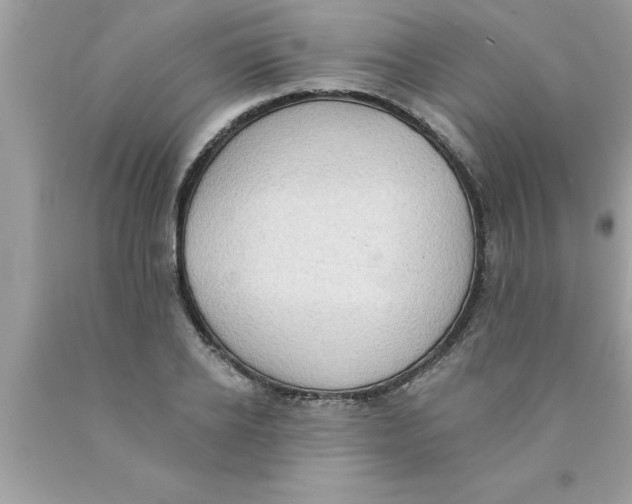 X0000089860934200707262125