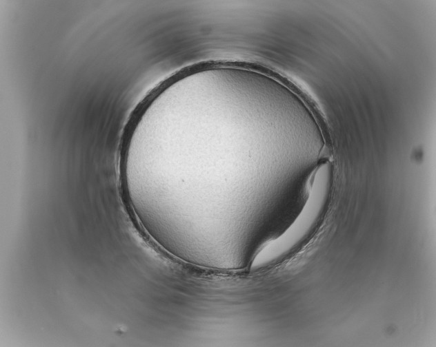 X0000089860935200707262125