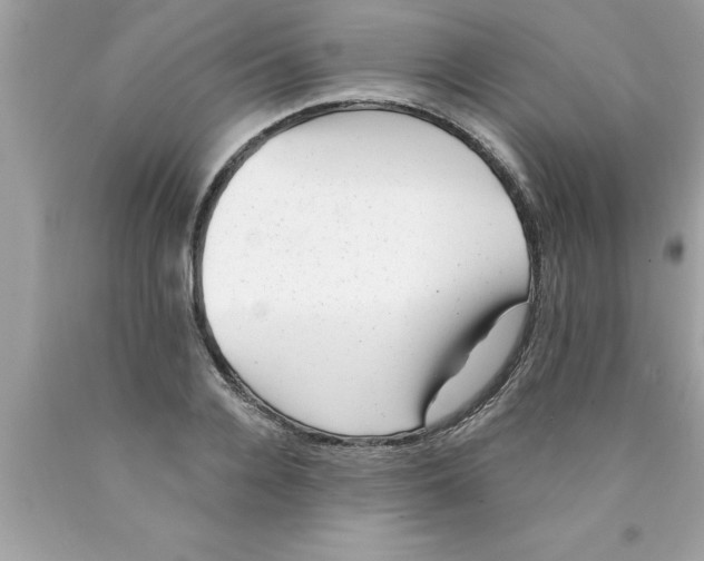 X0000089860936200707262125