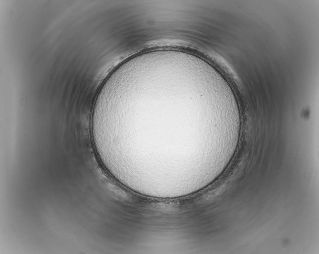 X0000089860937200707262125
