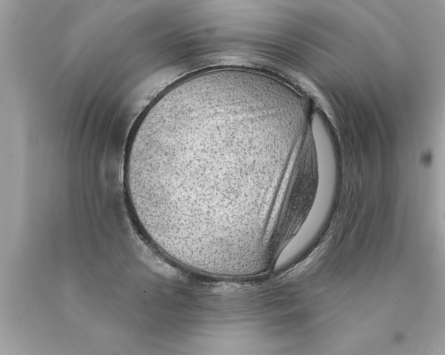 X0000089860938200707262125
