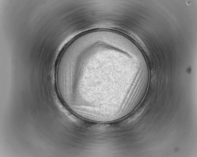 X0000089860939200707262125