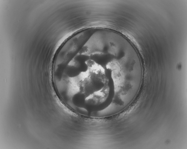 X0000089860941200707262125