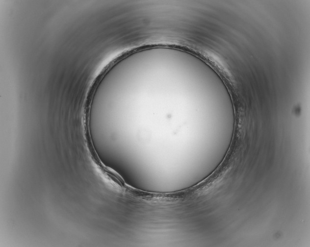 X0000089860942200707262125