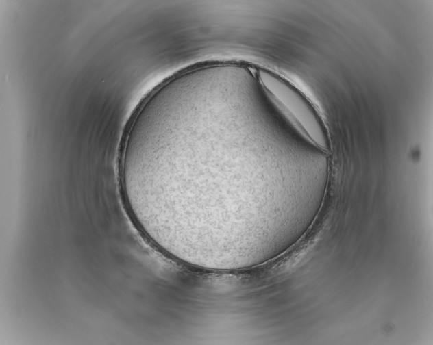 X0000089860943200707262125