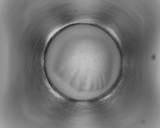 X0000089860944200707262125