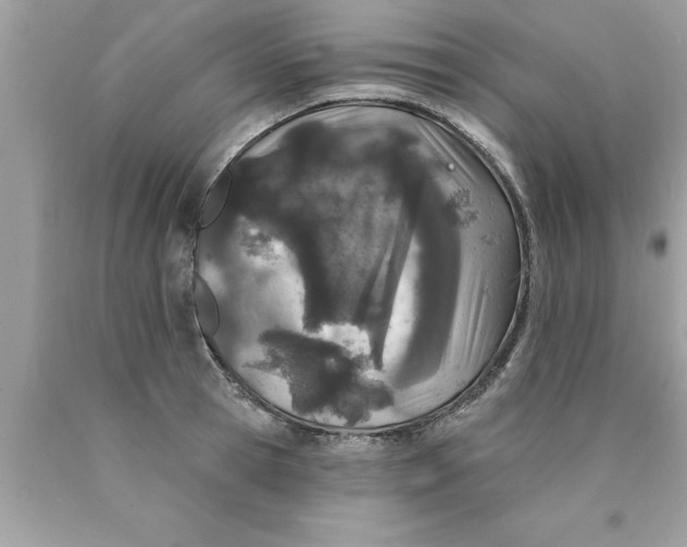 X0000089860945200707262125