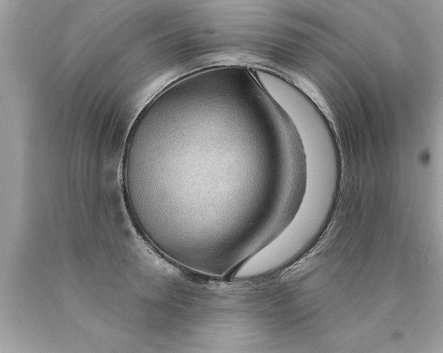 X0000089860946200707262125