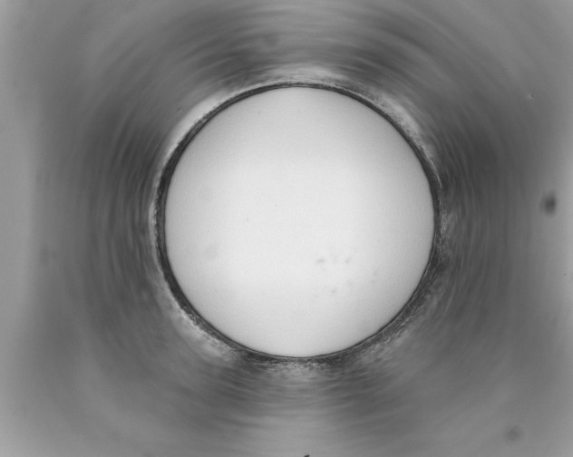 X0000089860947200707262125