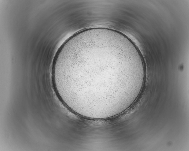 X0000089860949200707262125