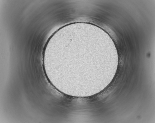 X0000089860950200707262125