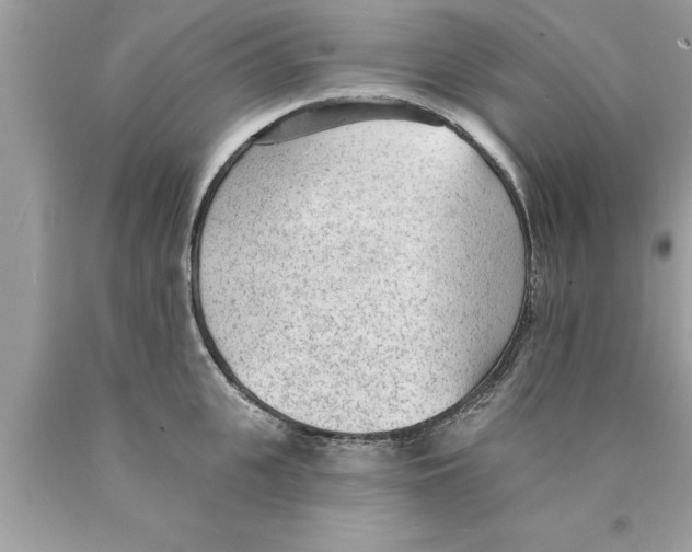 X0000089860951200707262125