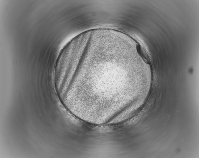 X0000089860952200707262125