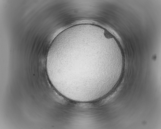 X0000089860953200707262125