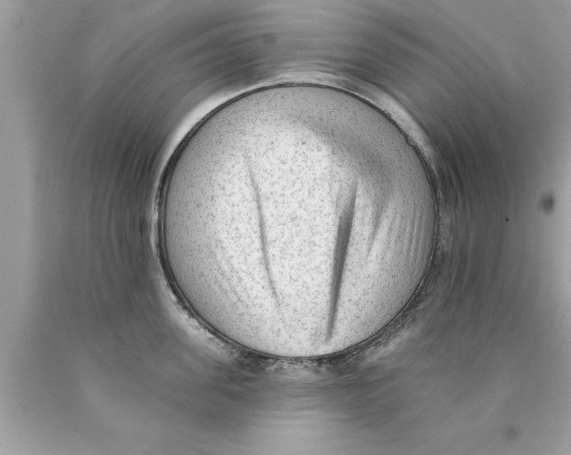 X0000089860955200707262125