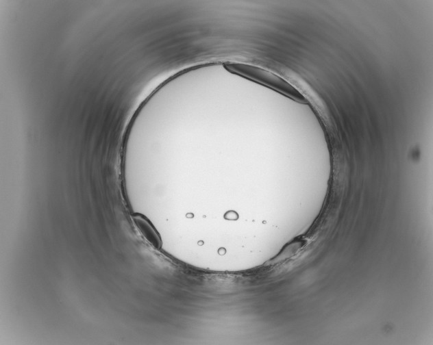 X0000089860956200707262125