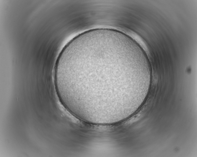 X0000089860958200707262125