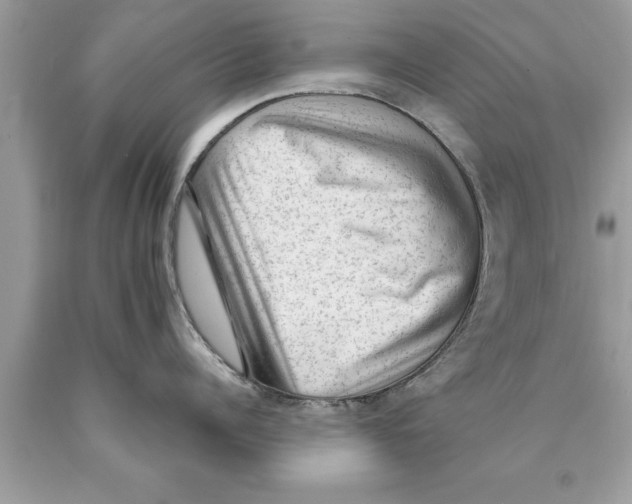 X0000089860960200707262125
