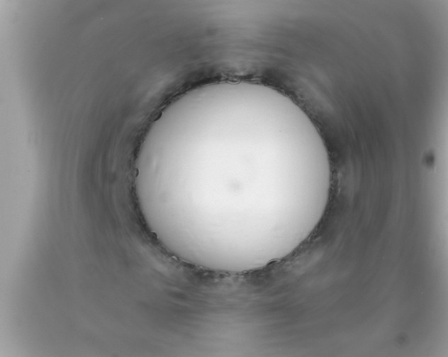 X0000089860961200707262125