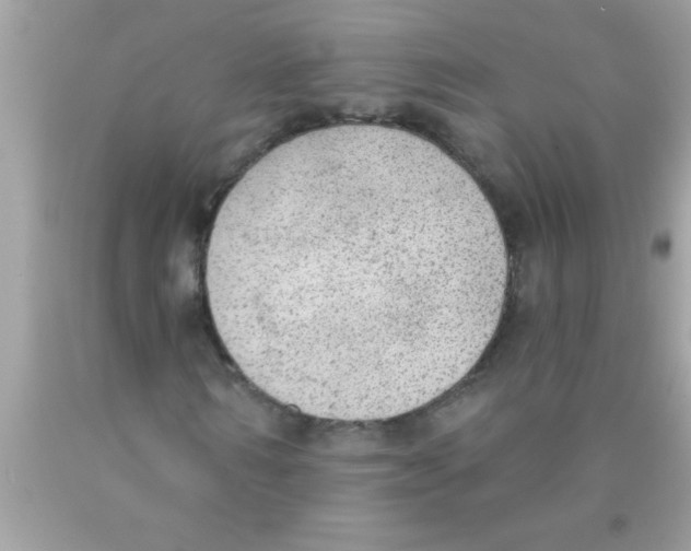 X0000089860962200707262124