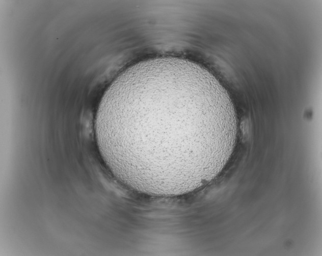 X0000089860963200707262124
