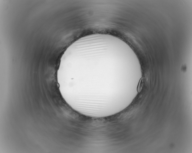 X0000089860964200707262124