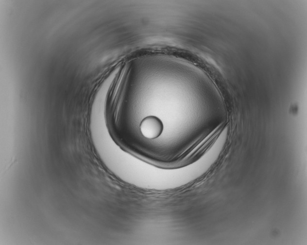 X0000089860965200707262124