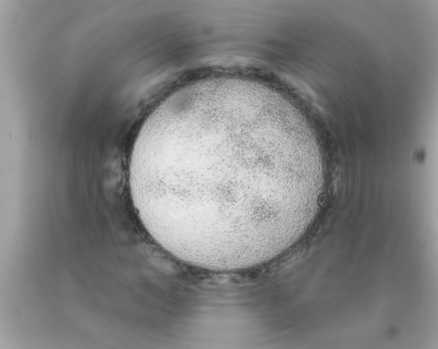 X0000089860966200707262124