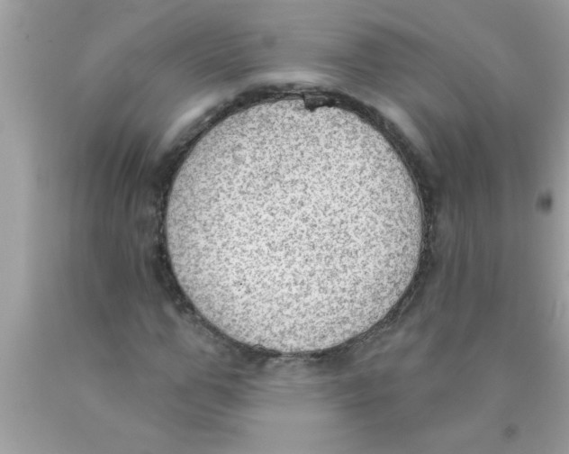 X0000089860967200707262124