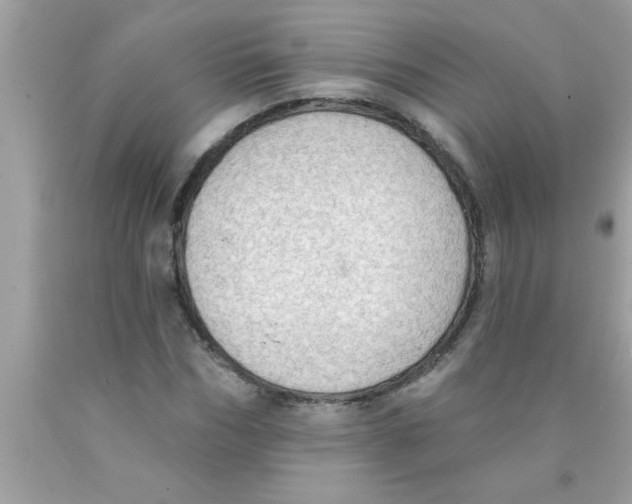 X0000089860970200707262124