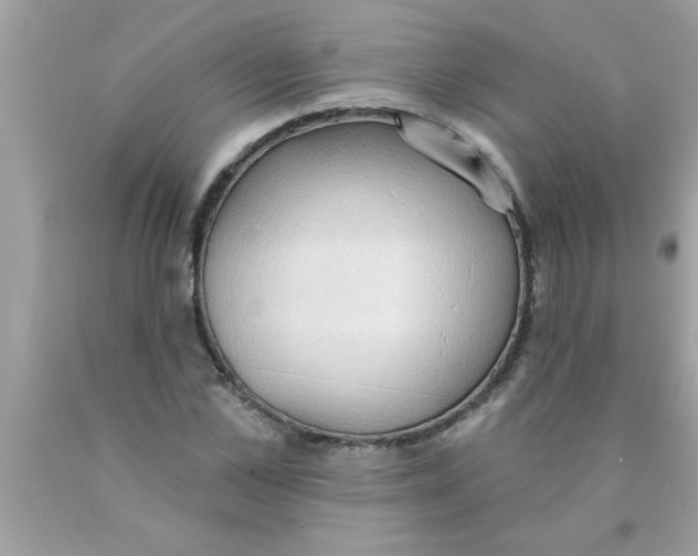 X0000089860973200707262124