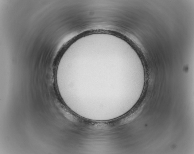 X0000089860974200707262124
