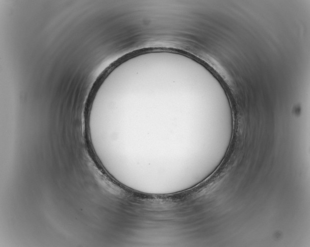 X0000089860980200707262124