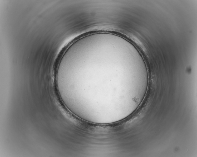 X0000089860981200707262124