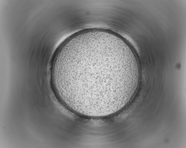 X0000089860983200707262124