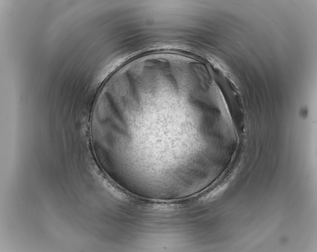 X0000089860985200707262124