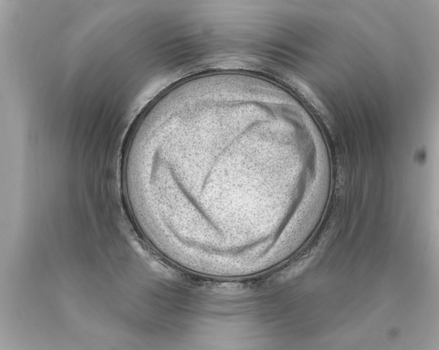 X0000089860986200707262124